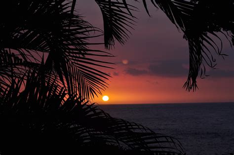 ROYAL SEA CLIFF KONA BY OUTRIGGER - Updated 2022 Prices & Condominium ...
