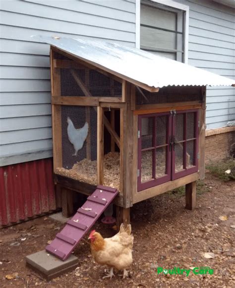 Free Chicken Coop Plans And Ideas Beginner Diy Designs