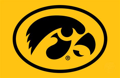 Iowa Hawkeyes Logo Alt On Dark Logo Ncaa Division I I M Ncaa I M