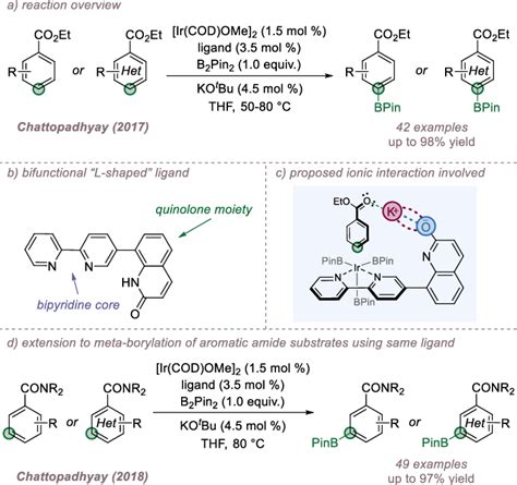 L Shaped Ligand Enables Regioselective Borylation Of Aromatic Ester