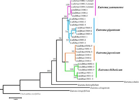 The Maximum Likelihood Tree Based On Analysis Of The Combined Nrits And