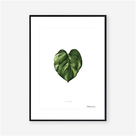 Art Print Botanical Heart Leaf Pothos Plant Wall Art Etsy Etsy Wall Art Botanical Art