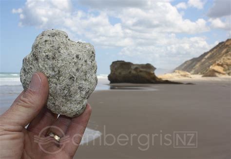 How to identify ambergris, ambergris shape, colour, size and smell ...