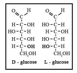 L Glucose Structure