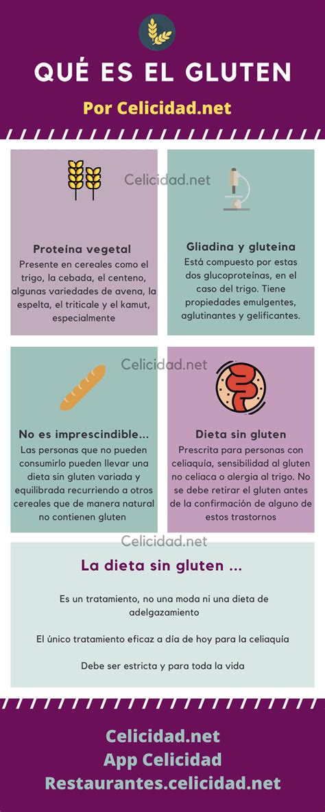 ¿qué Es El Gluten El Gluten En La Actualidad Celicidad