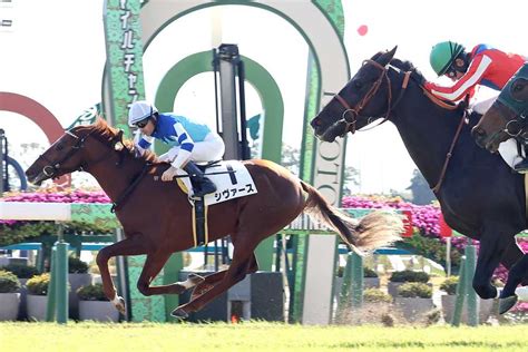 【きさらぎ賞】レース展望｜競馬ニュース｜競馬予想のウマニティ