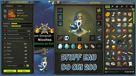 Dofus Presentation Stuff Eau Docri I Only Pvm I Feca Avance Des