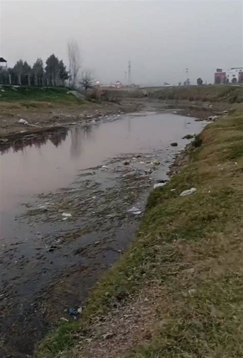 Mersin Tarsus Ta Derenin Rengi De I Ti Bakanl K Soru Turma Ba Latt