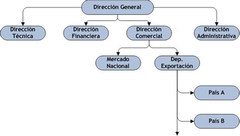 Tema 6 1 2 El Departamento de Exportación en la estructura empresarial