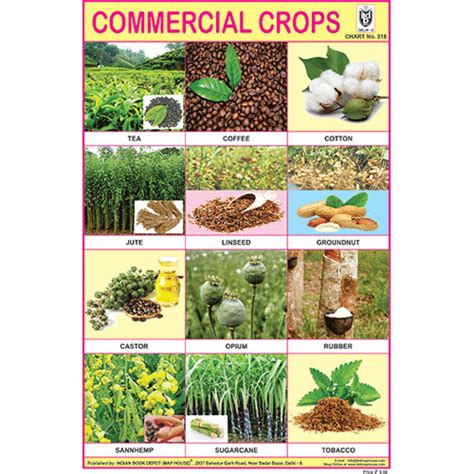 COMMERCIAL CROPS SIZE 24 X 36 CMS CHART NO. 318