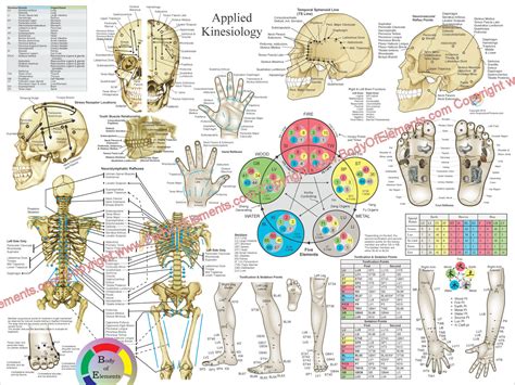 Applied Kinesiology Poster