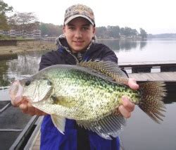 Fish in lake Marion - Fishing South Carolina