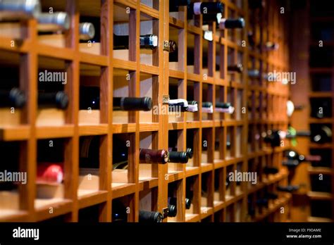 Wine cellar racks Stock Photo - Alamy