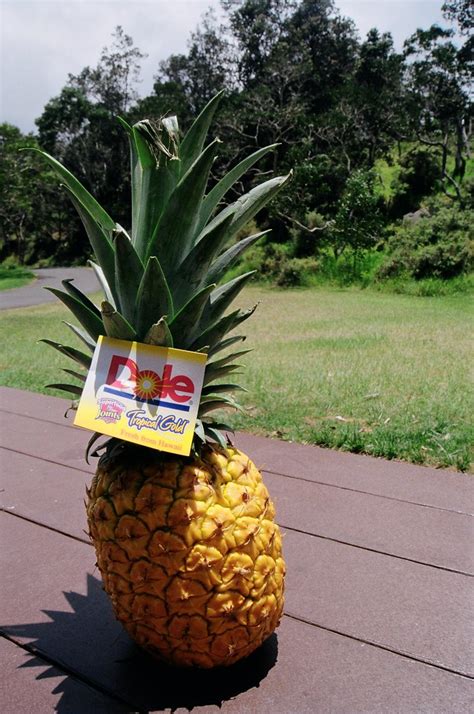 Fresh Pineapple At Namakanipaio Campground In Hvnp Hawaii Flickr