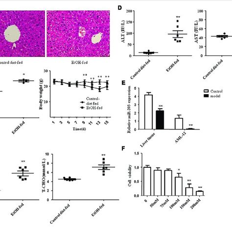 MiR 203 Was Down Regulated In EtOH Fed Mice And EtOH Induced AML 12