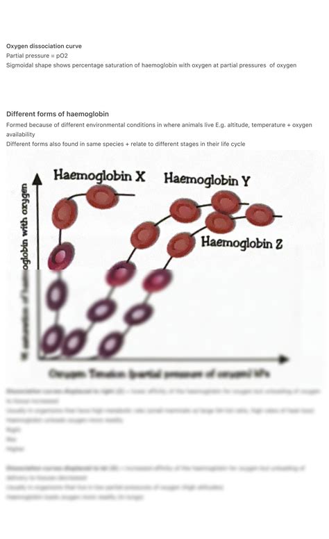 Solution Aqa A Level Biology 4 Haemoglobin Transport Of Oxygen Studypool