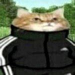 drip cat Meme Generator - Imgflip