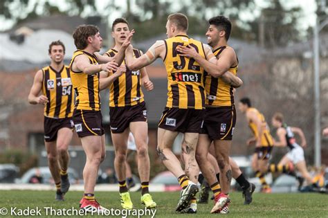 Box Hill Hawks Football Club Box Hill Hawks