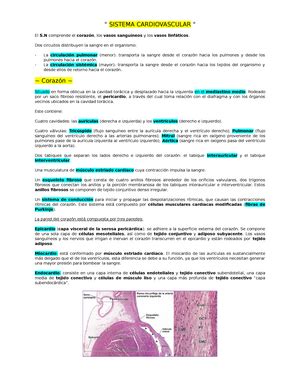 Cuestionario histologia GPT Examen GPT Cuál es la función principal