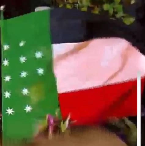 Whats This Black White Red And Green Flag With Twelve Stars Rvexillology