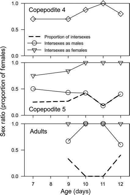 Sex Ratio Considering Intersexes As Males Or Females And Proportion Of