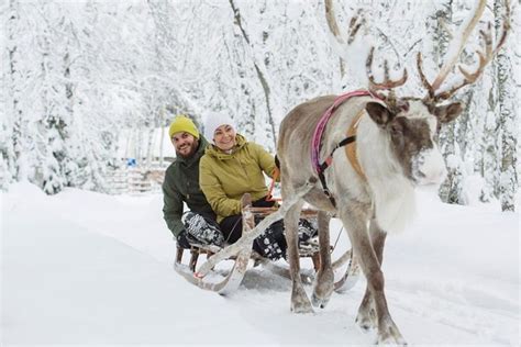 Levi Lapland Rendier En Huskysafari Getyourguide