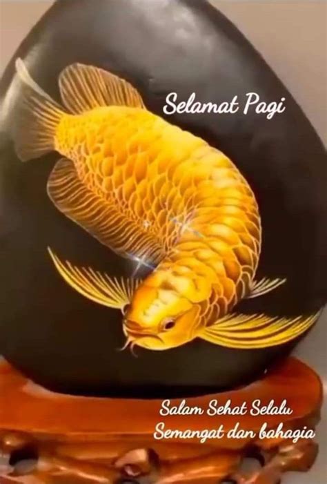 good morning fish pet