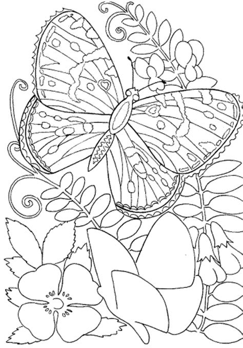 Get This Butterfly Coloring Pages to Print for Adults 90037