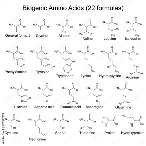 Twenty Two Biogenic Amino Acids Chemical Formulas Stock Vector