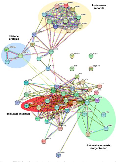 Figure From Cd Modulates The Proteomic Landscape Of Ewing Sarcoma