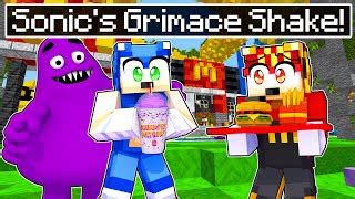 Sonic Goes To Mcdonalds Grimace Shake Minecraft So Doovi