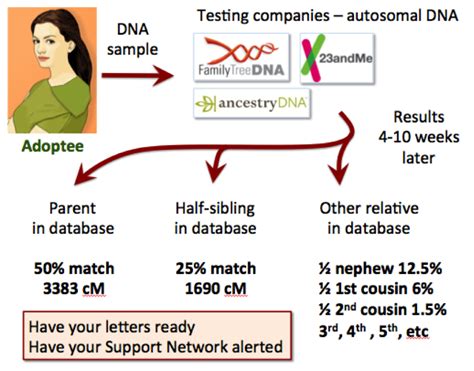 DNA and Family Tree Research: Solving Adoption Mysteries with DNA