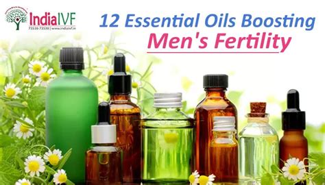 12 Essential Oils For Mens Fertility India Ivf Fertility Guide