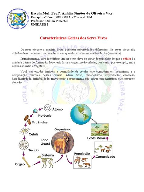 Caracteristica Do Seres Vivos - Caracteristicas Gerais Dos Seres Vivos - I Unidade | PDF | Organismos ...