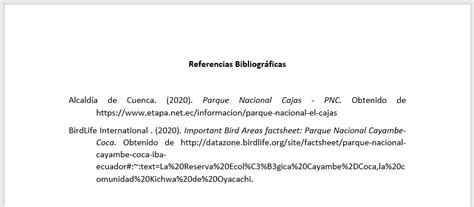 Normas Apa 7ma Edición 2023 Trisabio