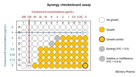 Antimicrobial Synergy Study Checkerboard Testing Emery Pharma