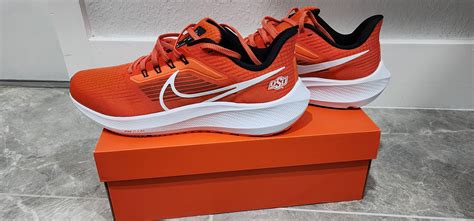 pegasus    pegasus    rrunningshoegeeks