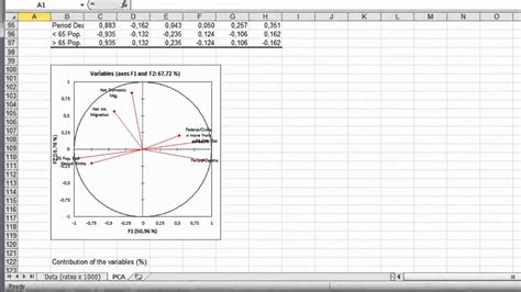 How To Run A Principal Component Analysis Pca With Xlstat Youtube