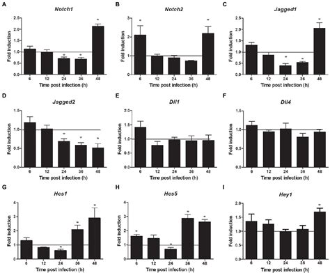 Frontiers Tmt Based Quantitative Proteomics Analysis Reveals The Role