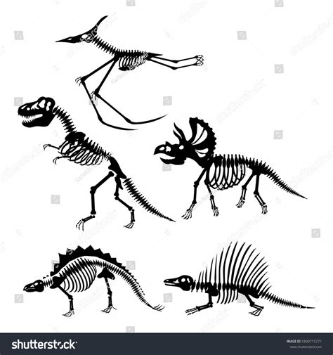 Dinosaur Skeletons Set Vector Illustration Stock Vector (Royalty Free ...