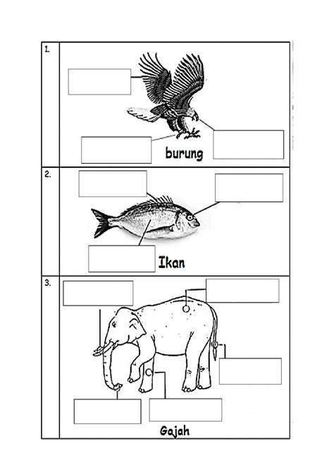 Latihanbahagian Tubuh Haiwan Interactive Worksheet Live Worksheets