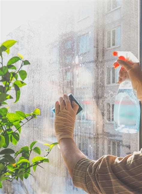 Spring Cleaning Cleaning Windows Women`s Hands Wash The Window