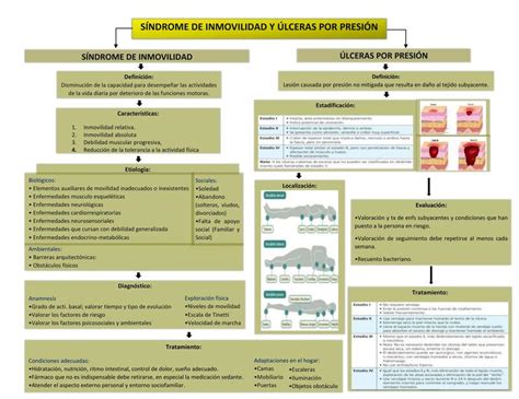 Resúmenes de Síndrome de inmovilidad Descarga apuntes de Síndrome de