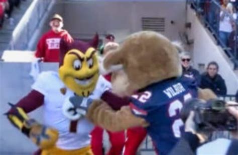 Arizona Wildcats & Arizona State Sun Devils Mascots’ Got Into Huge ...