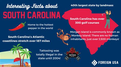 43 Fun Facts About South Carolina Best Place To Learning