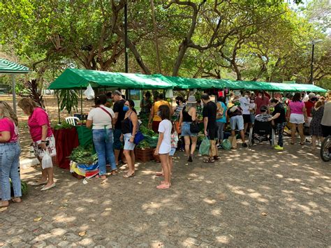 Feira Agroecol Gica Acontece Neste S Bado Na Rea Adahil Barreto