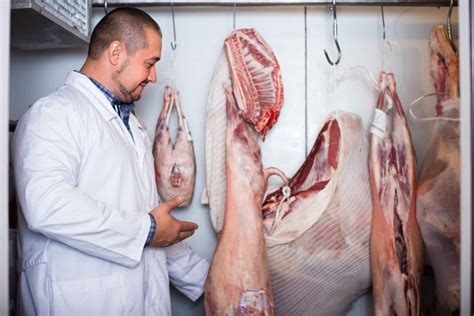 Acondicionamiento de la Carne para su Comercialización 70 horas