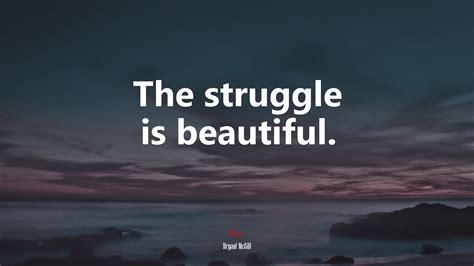 The Struggle Is Beautiful Bryant McGill Quote HD Wallpaper Rare