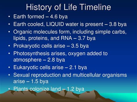 Chapter 17 History Of Life Ppt Download