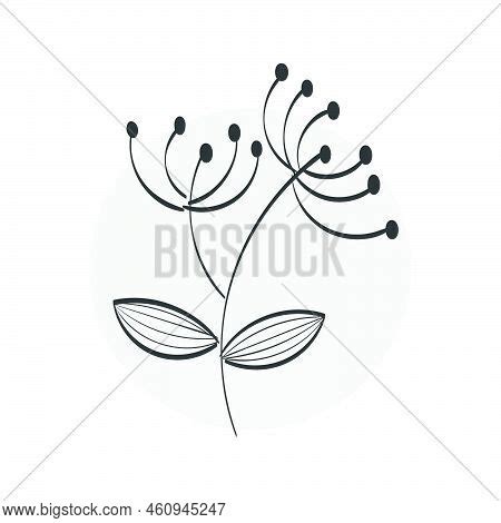 Floral Art Flower Vector Photo Free Trial Bigstock